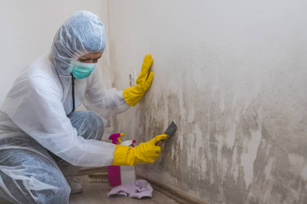 Best Mold Remediation for Specific Building Types in Finley, WA