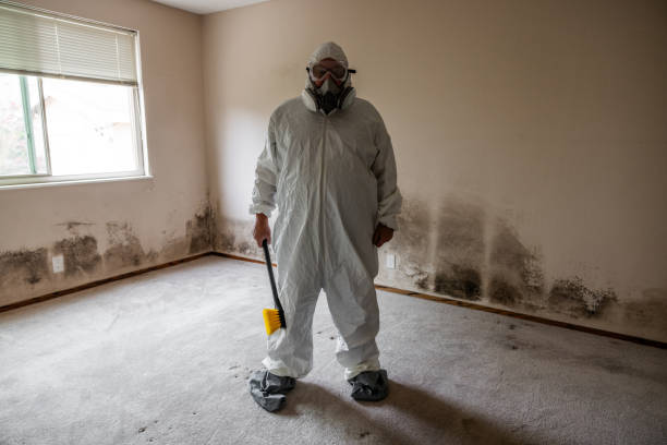Best Insurance-Related Mold Remediation in Finley, WA
